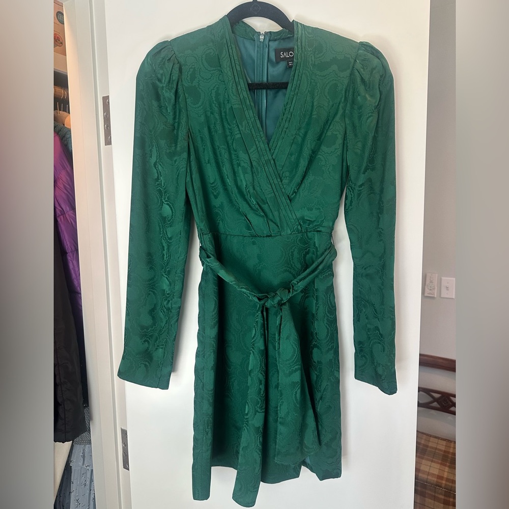 SALONI Emerald Long Sleeve Dress